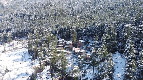 The resort under snow