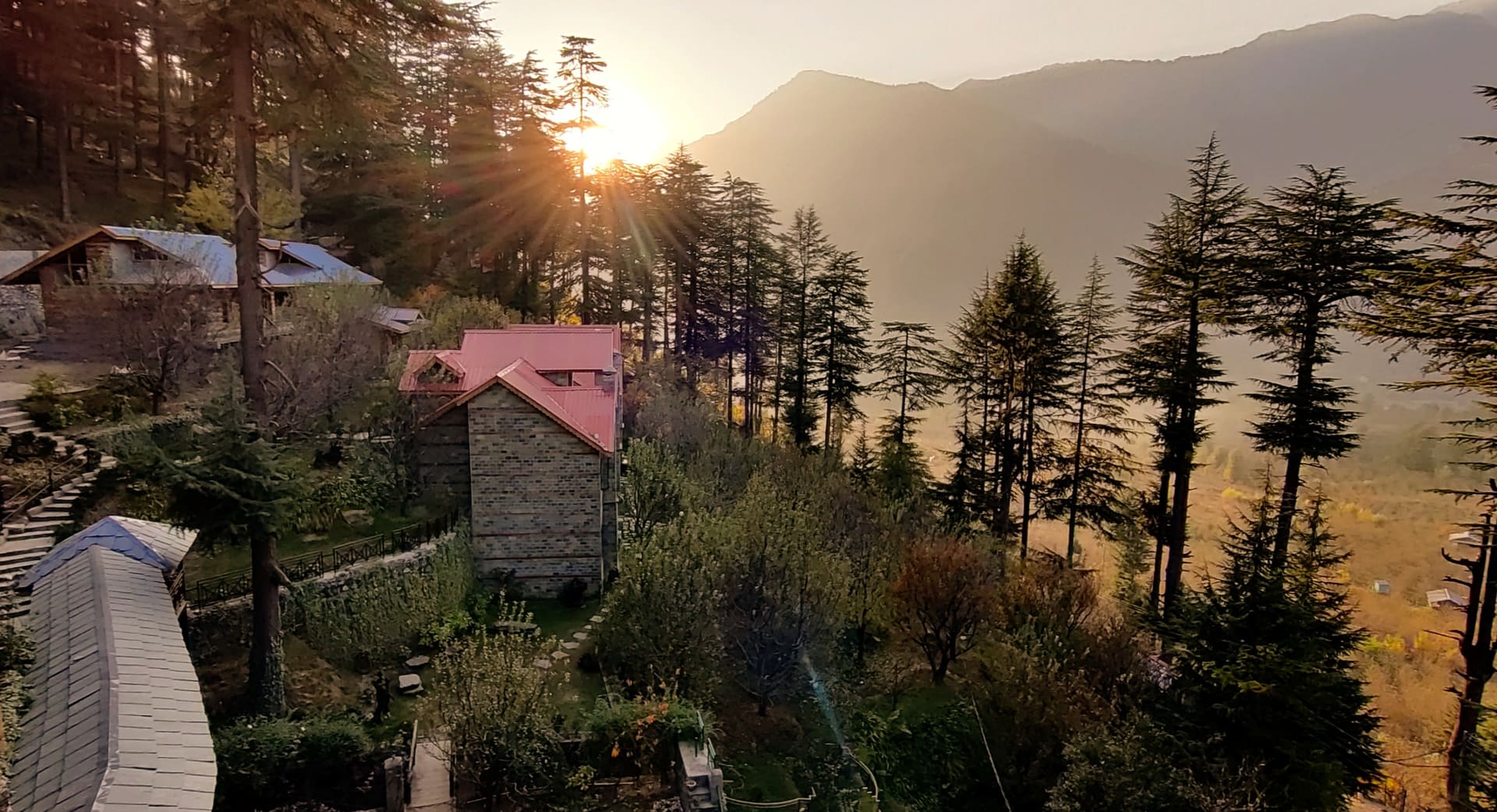 Forest trails and experiences at Heritage Satikva